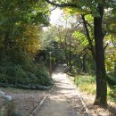 이지현내과의원 Daum카페