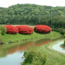 울산골프회원권