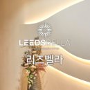 리즈벨라 이미지