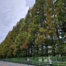 진위서로 이미지