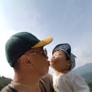 세봉농장 네이버블로그
