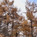 장원여인숙 | 흩어진 일상의 조각을 모아서(11월)