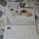 봄내병원 이미지