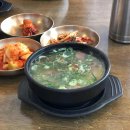 금성빌라 앞 이미지