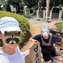 (주)서울산정비센터 | 울산 러너 추천! 도심 가까운 염포산 마라톤 코스 후기 (ft. 트레일러닝 코스)