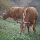 정다운농장 이미지