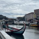 Musgo | 8.[포르투 근교여행] 아베이루(aveiro, 포르투의 베네치아),코스타노바(줄무늬 마을) + 포르투에서...