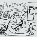 대한부란자 이미지