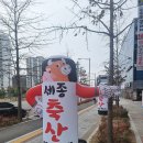 대곡축산 | [대구 정육점] 달서구 대곡동 세종축산, 가성비좋고 고기질좋은 정육점
