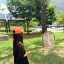 곤충학교 | 잠자리채 내돈내산 추천! 여름방학 아이와 즐기는 곤충채집 후기