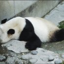 참경희한의원 이미지