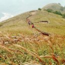 산과들과바다와함께 이미지