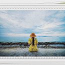 울산동물약국 이미지