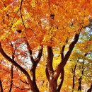 구리둘레길(2코스) 이미지