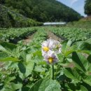 산모랭이 이미지