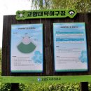 고양대덕야구장 이미지