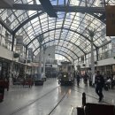 세계로여행사 | 뉴질랜드 여행 추천 제대로 찾았다면? 27년 전통 길여행사로 남북섬 올킬 후기