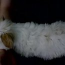 화홍고등학교 이미지