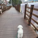장유2동행정복지센터 화장실 이미지