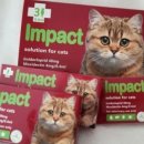 관저올빼미약국 이미지