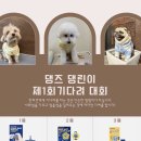 댕즈 이미지