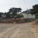 상목농장 Daum카페