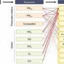 01-110 동구 이미지