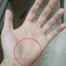 라이브 휘트니스 이미지