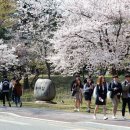 전남대학교 용봉캠퍼스 한국일보
