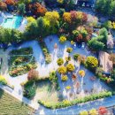 들꽃여울캠핑장 이미지