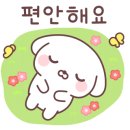 도담태권도 이미지