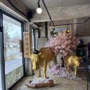 우두로 | 경주 황리단길 갈비 맛집 ‘우두갈비‘ 내돈내산 후기