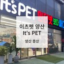 이츠펫(It's Pet) 이미지