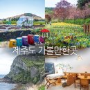 유원농장 | 제주도 가볼만한곳 서귀포 제주시 제주도 여행 코스
