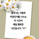 봄이 Daum카페