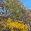 고센 | 고센 멀티 cx &amp; 바볼랏 RPM 러프 후기