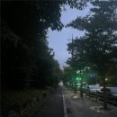 오정프린트 | 산책과 게이와 비