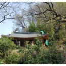 창녕 오여정 티스토리