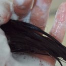 세정 온누리 약국 이미지