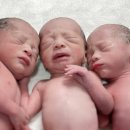 세쌍둥이네 이미지