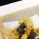 속초중앙시장짬뽕부타돈카츠오버더디쉬여의도점 | 여의도 점심 맛집 오버더디쉬 푸드코트