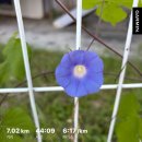 크로스핏 잭팟 | 9월 2주(9/8~14) 일상: 쑥쌀필클