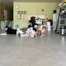 동물보육원 김포지부 이미지