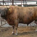 풍전농장 이미지