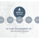 스텝셀 이미지