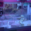 배짱 오락실 이미지