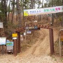 솔향기길1코스(당봉) 이미지