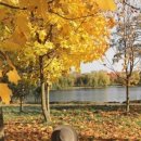 가을향기를 담은 향수 이미지