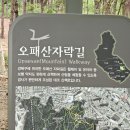 초안산길 이미지