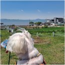 캐나다 멍 빌리지 이미지